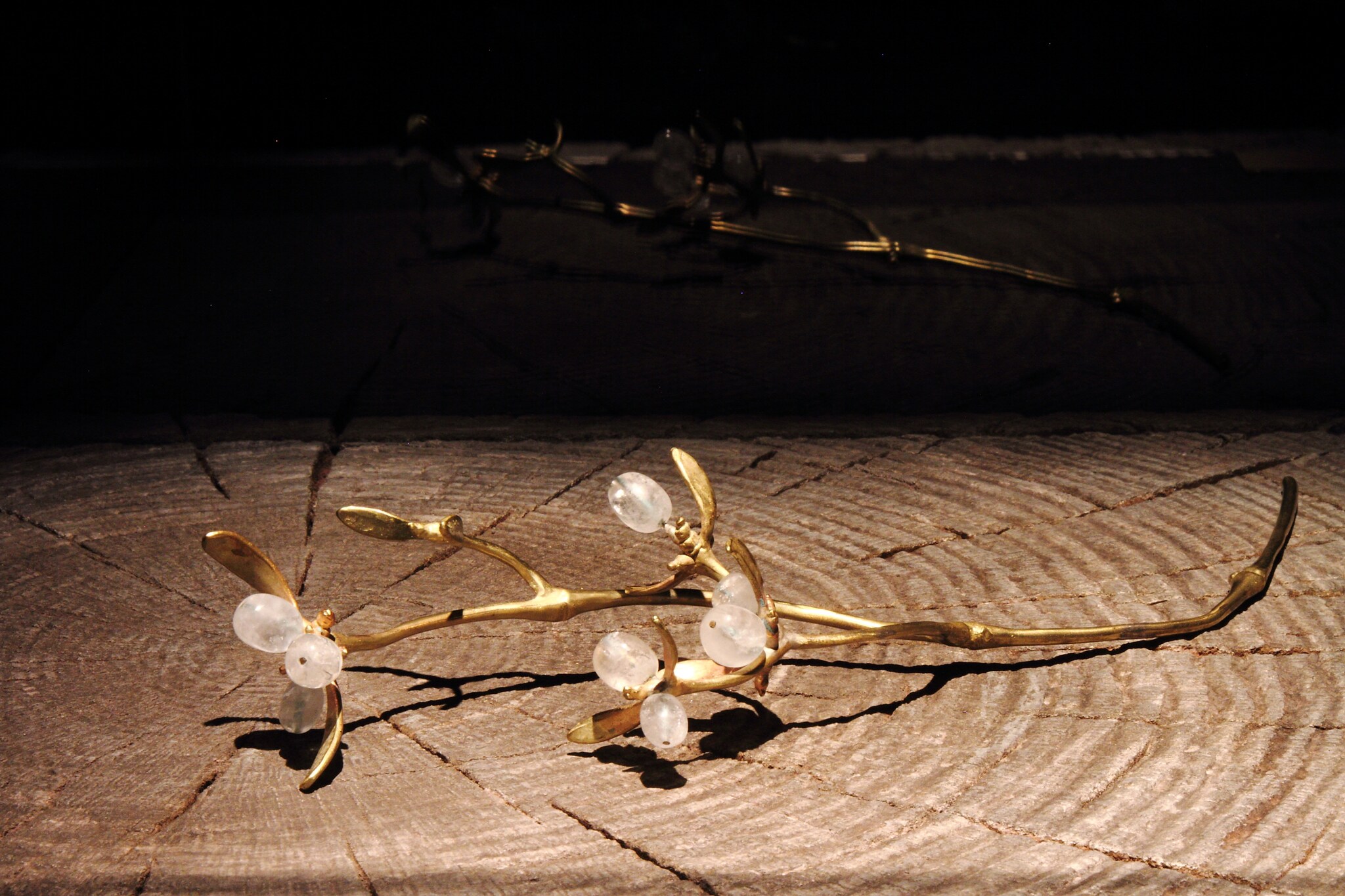 Vestigia Naturae by Harumi Klossowska de Rola